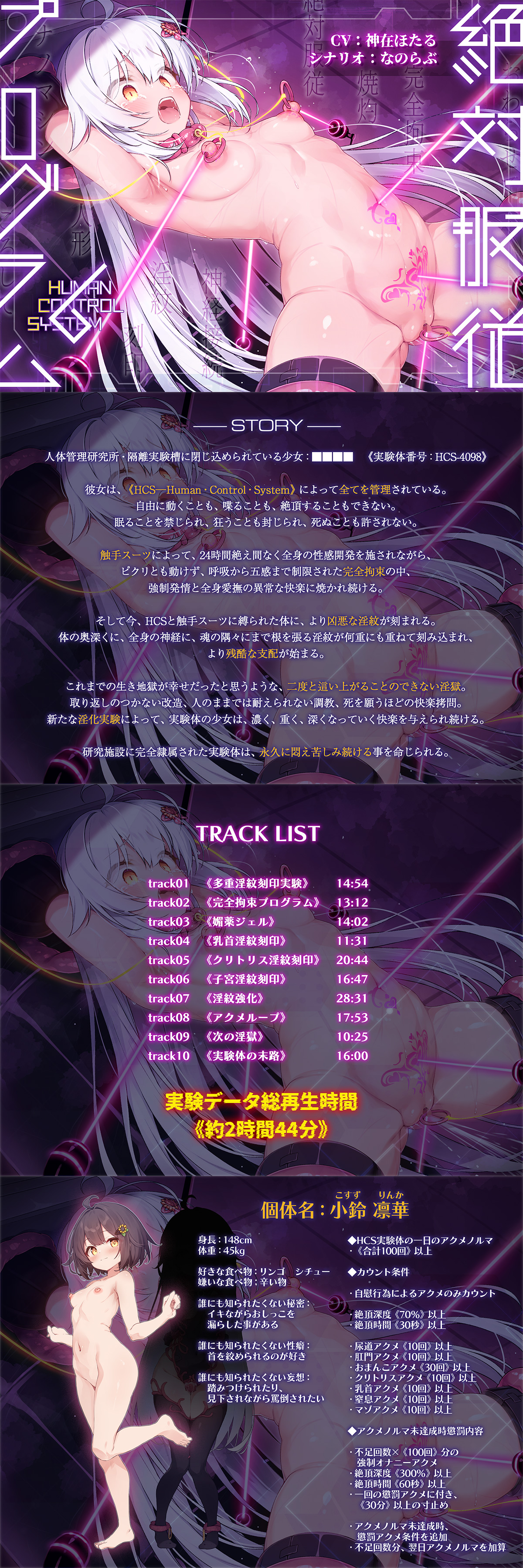 絶対服従プログラムⅥ 実験体4098 ~多重淫紋刻印実験~