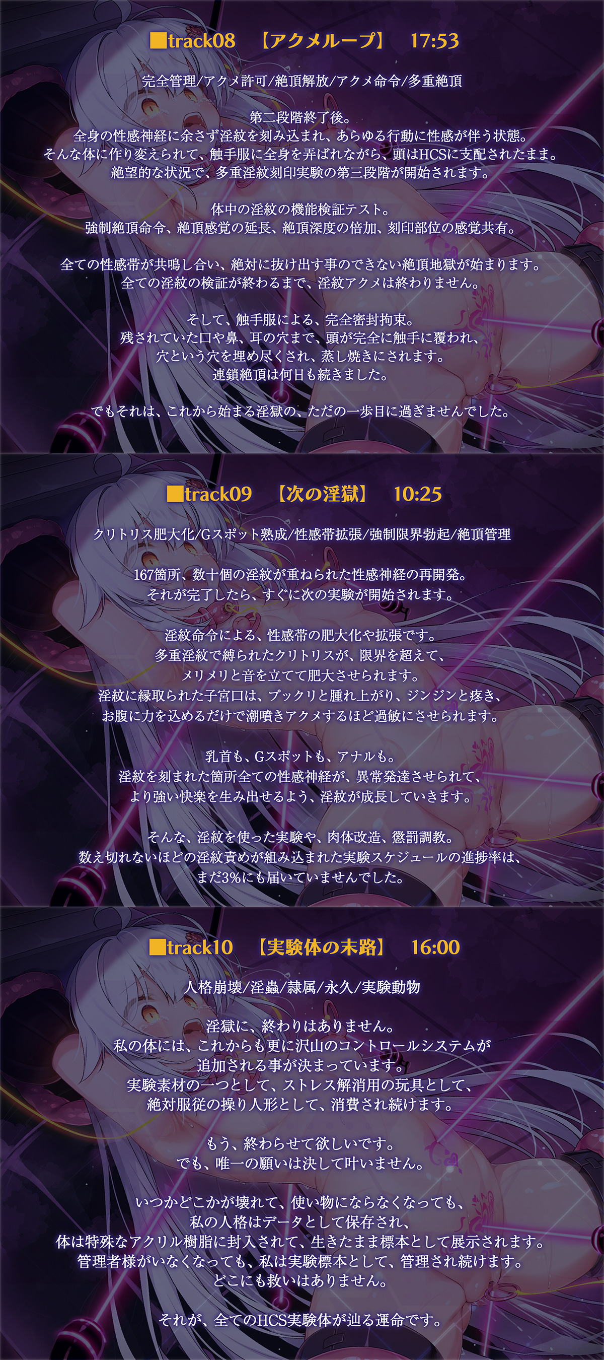 絶対服従プログラムⅥ 実験体4098 ~多重淫紋刻印実験~