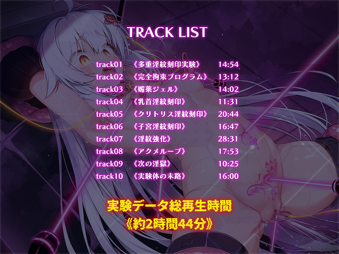 絶対服従プログラムⅥ 実験体4098 ~多重淫紋刻印実験~